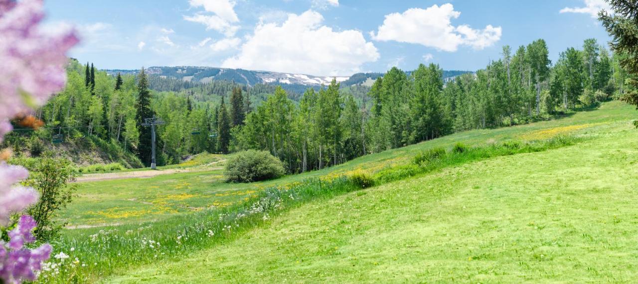 Laurelwood Condominiums 307 Snowmass Village Bagian luar foto